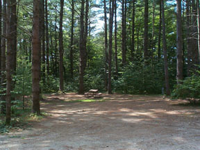 Pine Haven Campground | Site Map & Policies