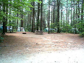 Pine Haven Campground | Site Map & Policies