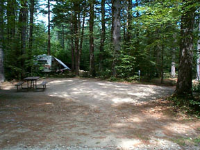 Pine Haven Campground | Site Map & Policies