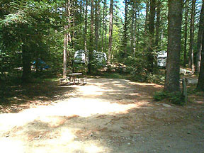 Pine Haven Campground | Site Map & Policies